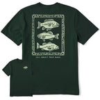 All About That Bass T-Shirt